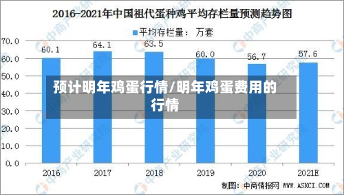 预计明年鸡蛋行情/明年鸡蛋费用的行情