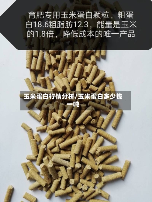 玉米蛋白行情分析/玉米蛋白多少钱一吨