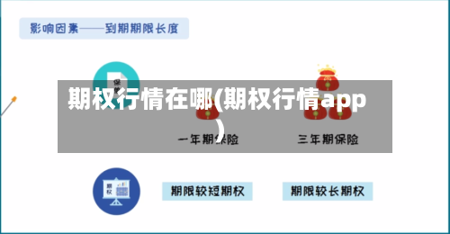 期权行情在哪(期权行情app)
