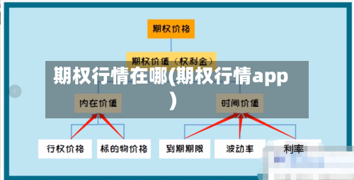 期权行情在哪(期权行情app)-第2张图片