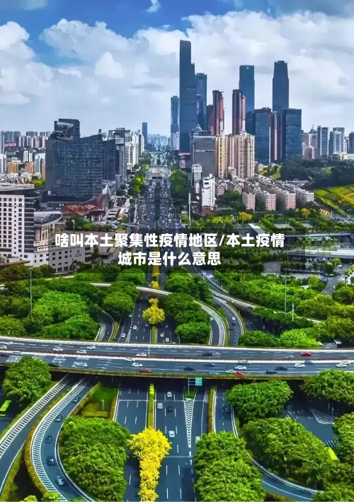 啥叫本土聚集性疫情地区/本土疫情城市是什么意思-第2张图片