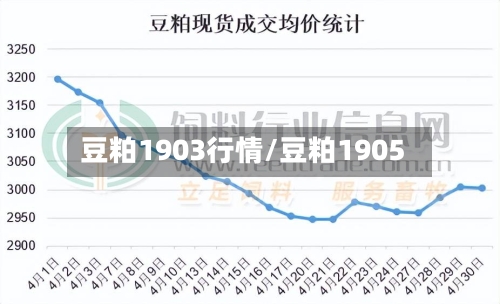 豆粕1903行情/豆粕1905
