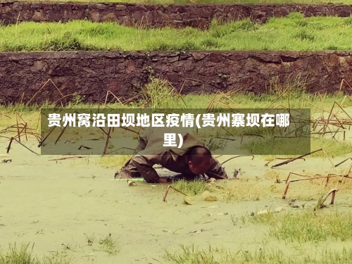 贵州窝沿田坝地区疫情(贵州寨坝在哪里)-第2张图片