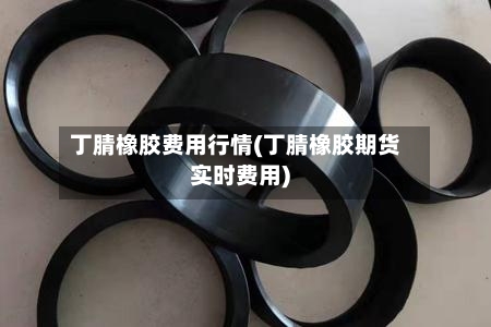 丁腈橡胶费用行情(丁腈橡胶期货实时费用)