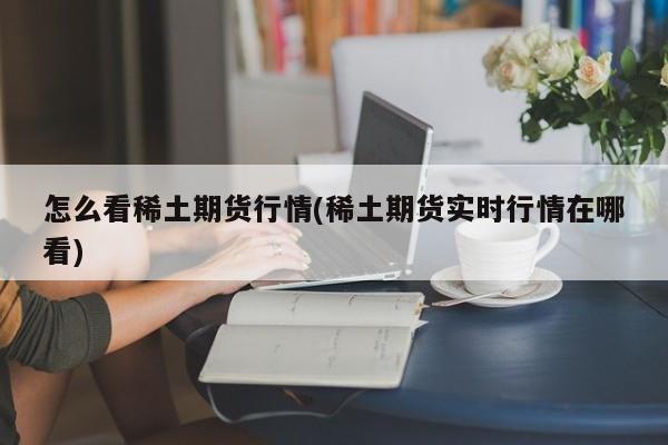怎么看稀土期货行情(稀土期货实时行情在哪看)