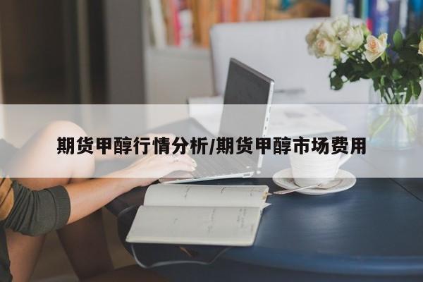 期货甲醇行情分析/期货甲醇市场费用